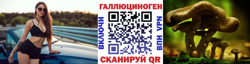 цены   Калач  omg как войти  Галлюциногенные грибы мицелий 